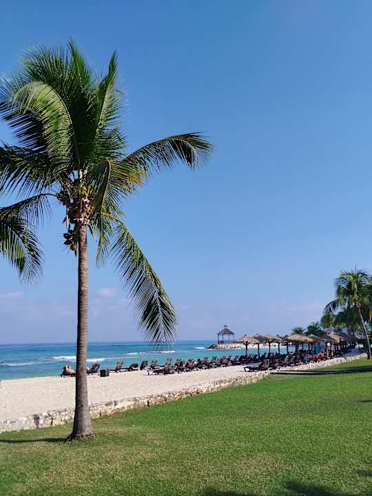 Strand Secrets Wild Orchid Montego Bay - Adults only