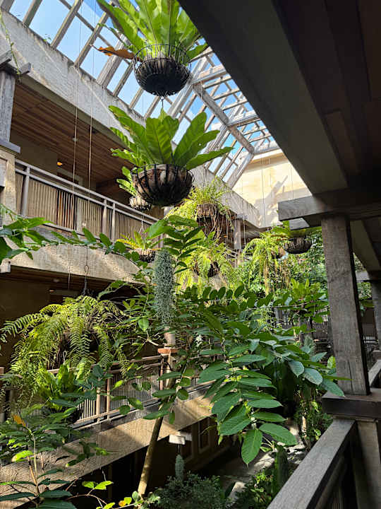 Außenansicht Dinso Resort & Villas Ko Chang, Vignette Collection by IHG