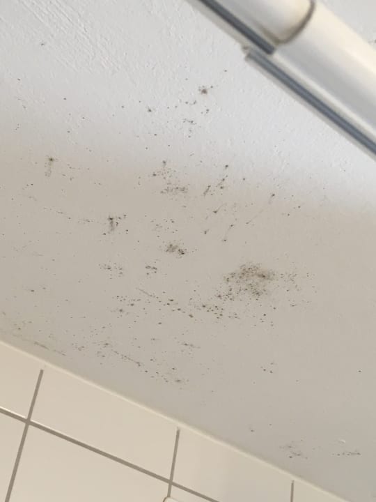 Zimmer Sonnenhotel Zaubek