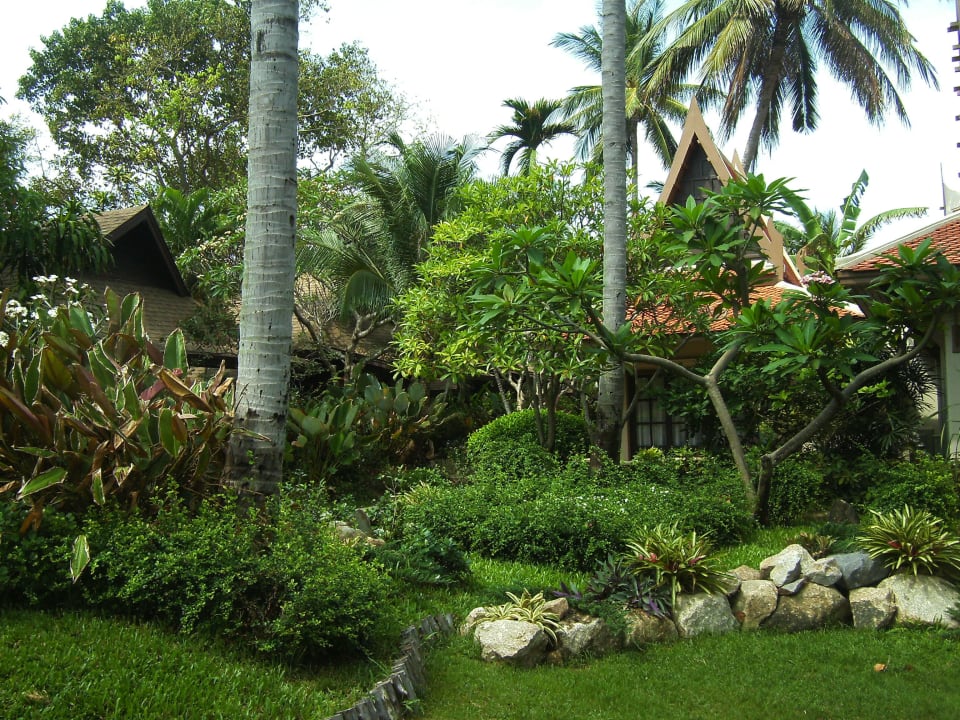 Februar 2016 The Fair House Beach Resort