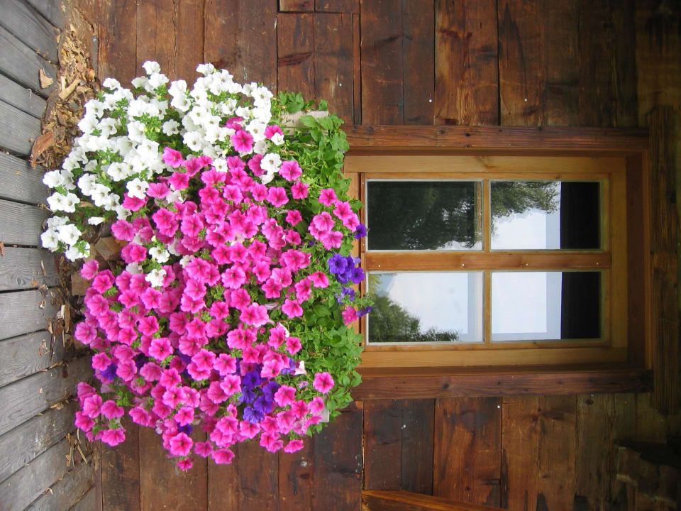 Blumen an der hauseigenen Almhütte im Garten Das Achental Resort