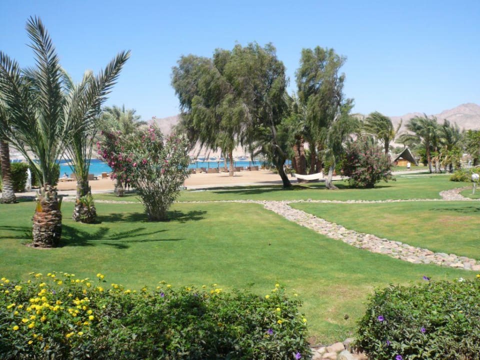 Blick von der Terrasse Dahab Lagoon Club & Resort