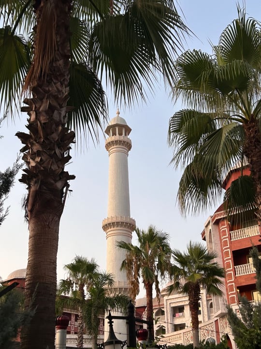 Ausblick Well Palace Side