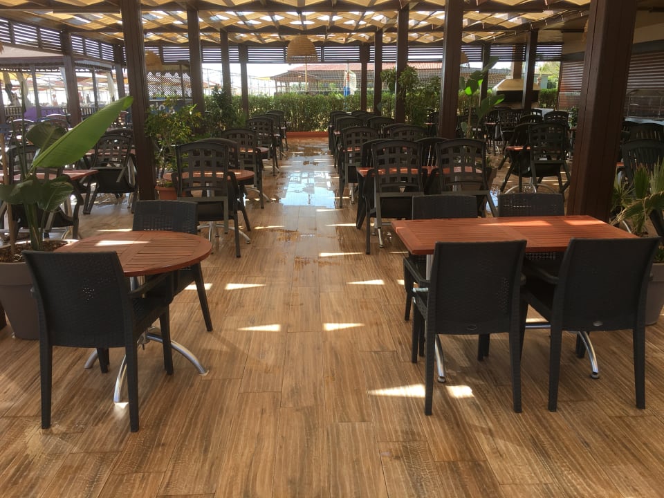 Strand Calimera Hane Garden