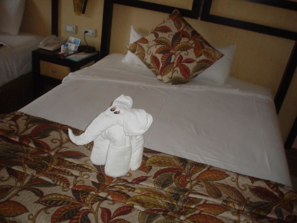 Überraschungselefant Sandos Playacar Beach Resort