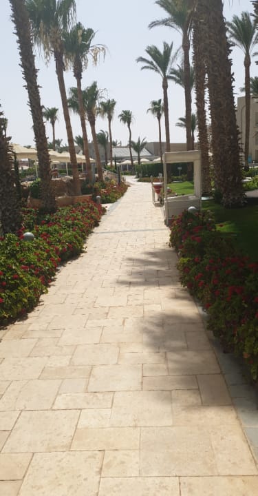 Gartenanlage Beach Albatros Resort