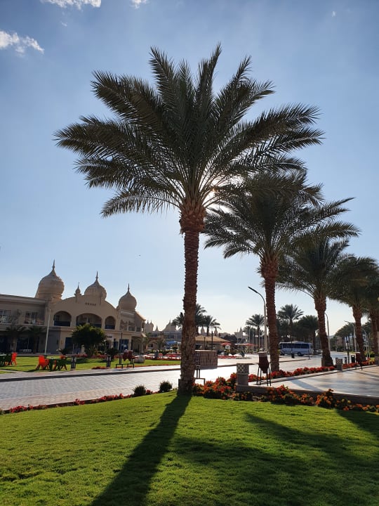 Gartenanlage Pickalbatros Aqua Blu Resort - Sharm El Sheikh