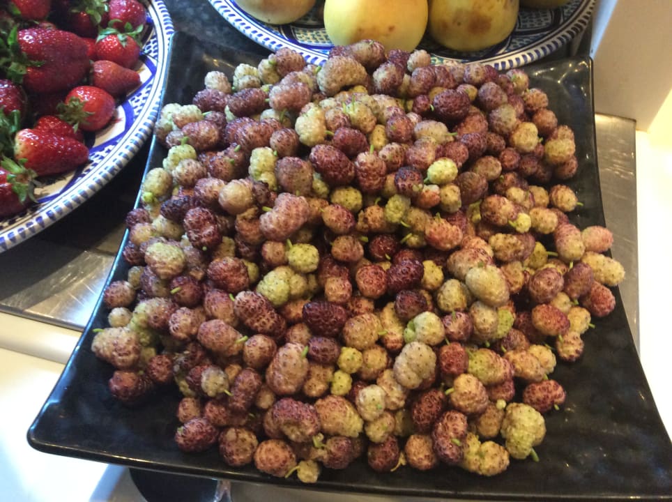 Gastro The Orangers Beach Resort and Bungalows