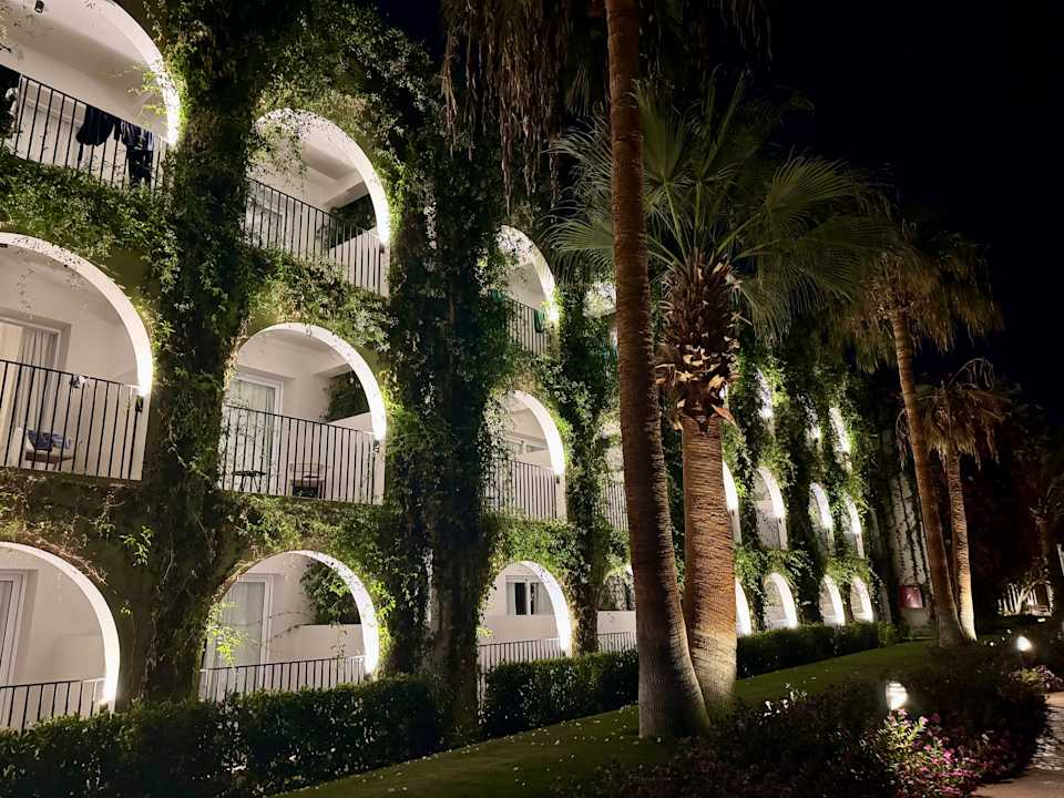 Außenansicht Desert Rose