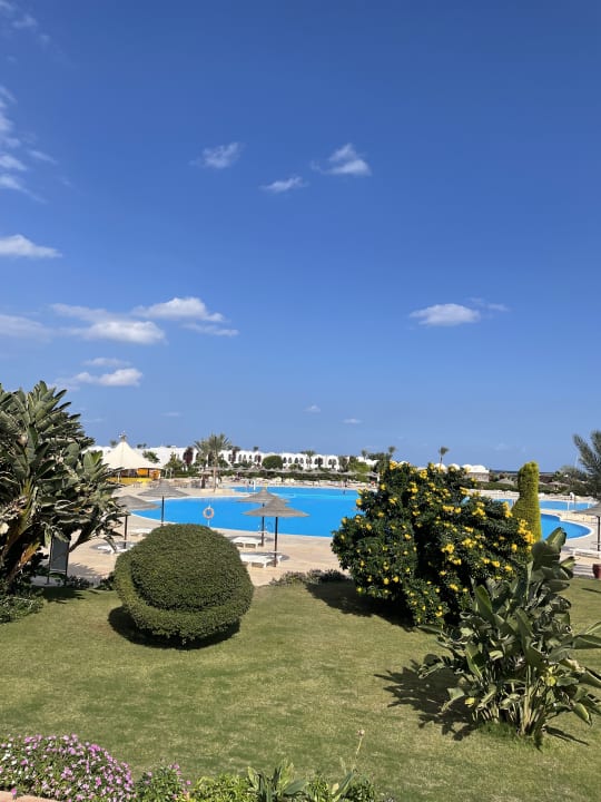 Pool Hotel Gorgonia Beach Resort