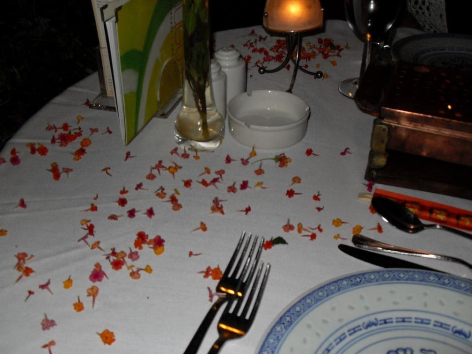 Chinees restaurant Side Star Elegance