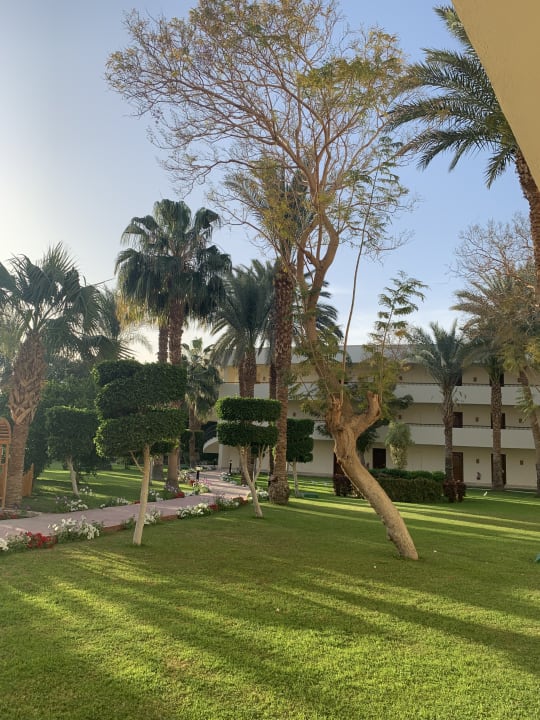 Gartenanlage LABRANDA Royal Makadi