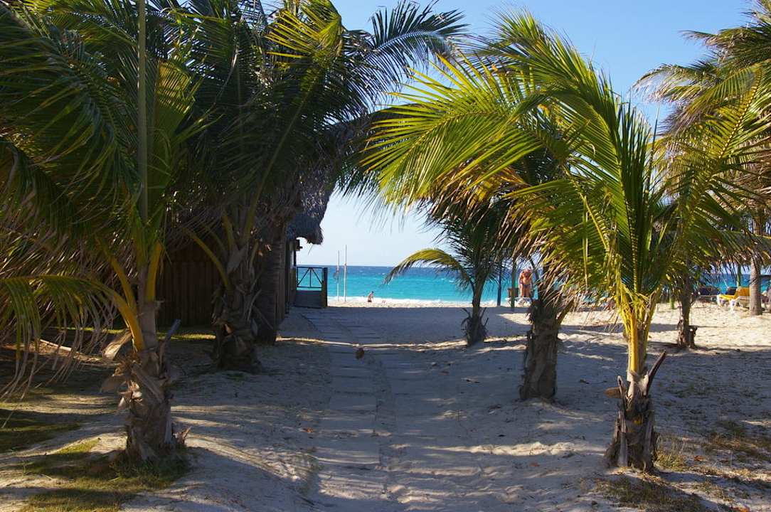 Blick auf den Strand Hotel Roc Barlovento