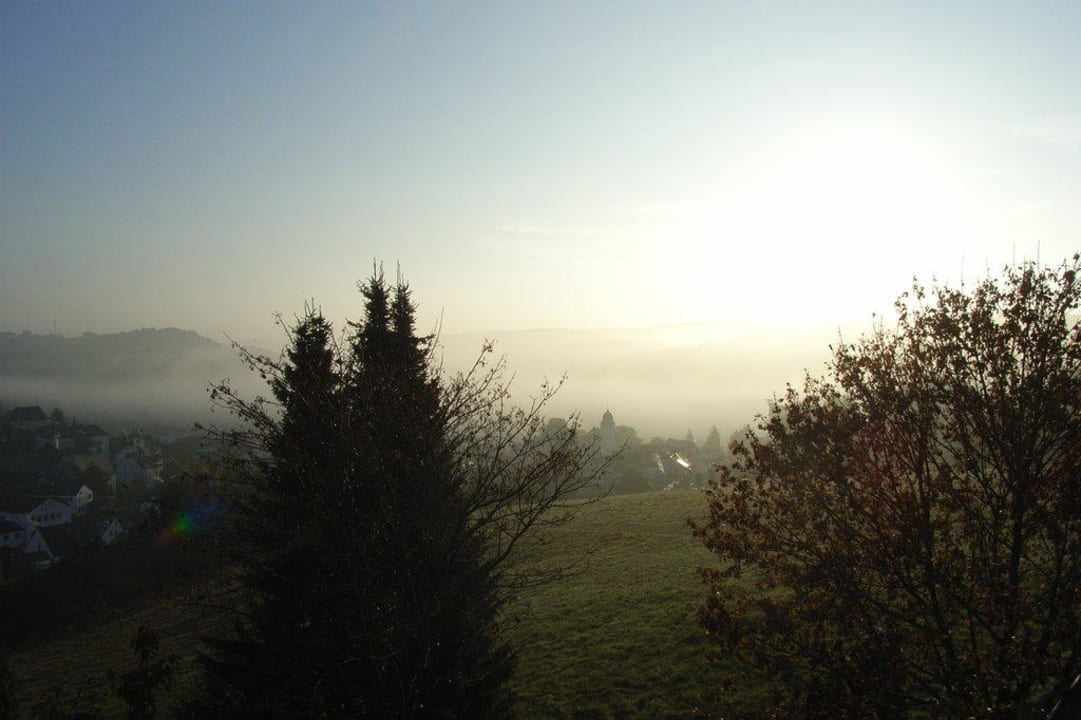 Blick auf Daun im Morgentau Hotel Panorama