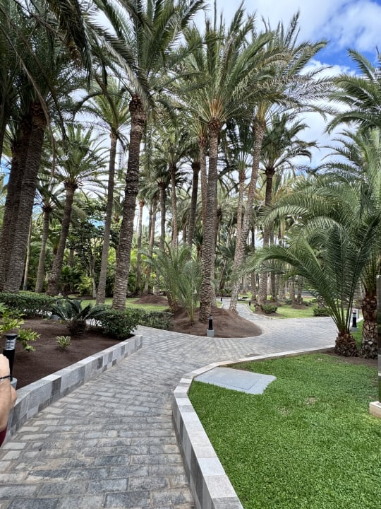 Gartenanlage Hotel Riu Palace Oasis