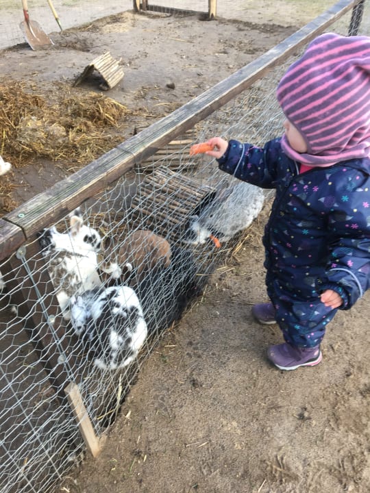 Außenansicht Ferienpark Templin