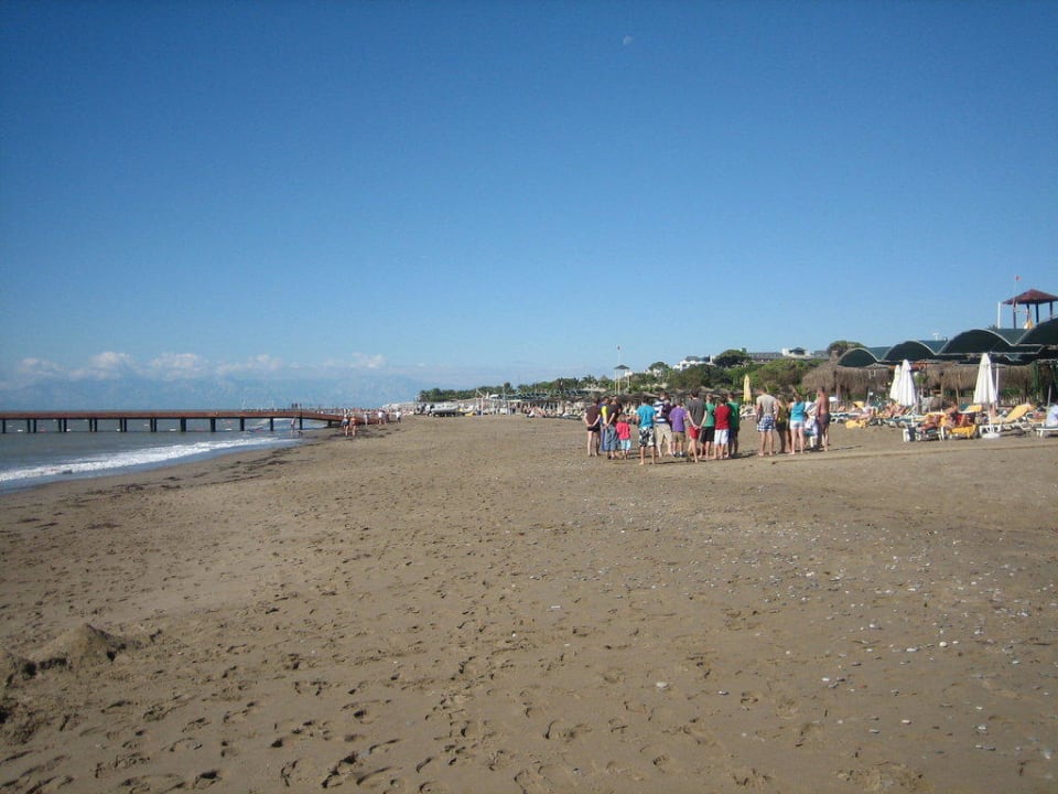 Strand  Papillon Zeugma Relaxury