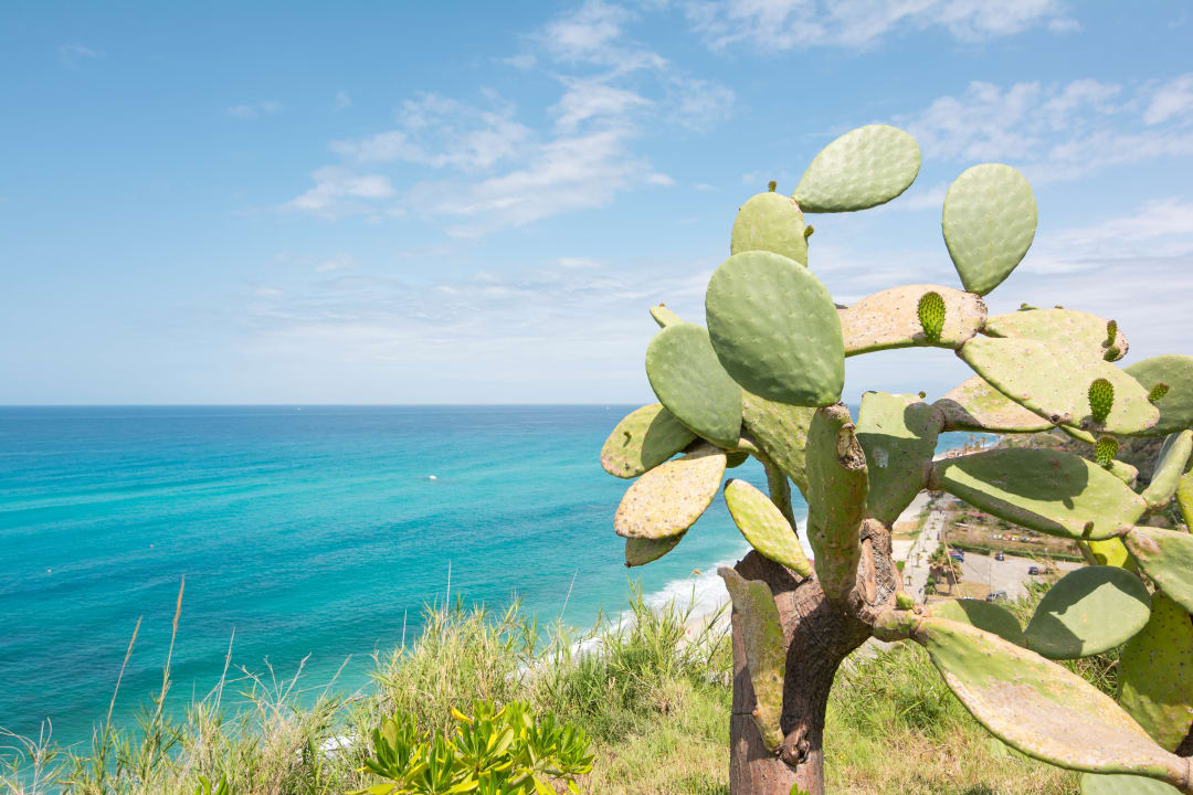 Ausblick Aldiana Club Rocca Nettuno Calabria