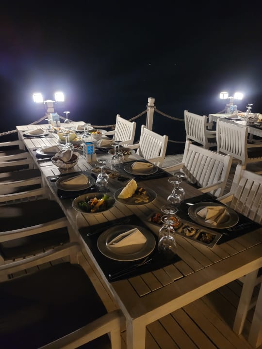 Gastro Balmy Foresta