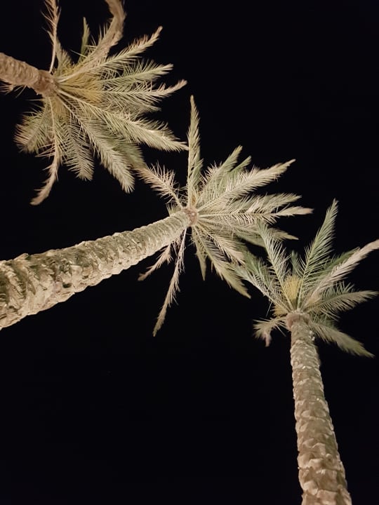 Ausblick Makadi Spa - Adults only