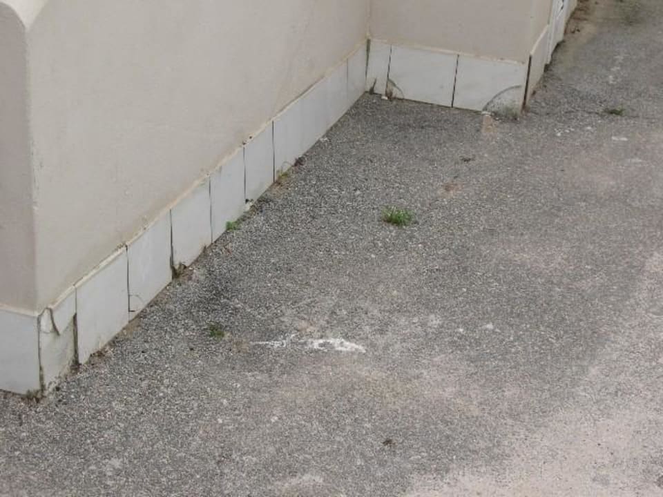 Ungepflegtes Außengelände Sandy Beach Resort