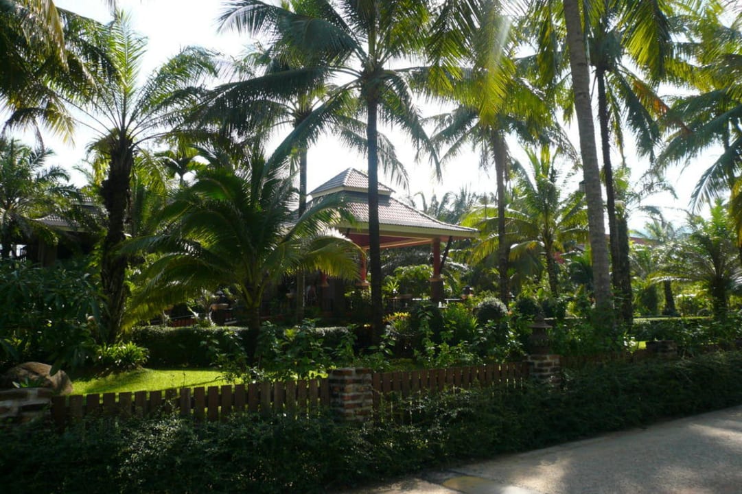 Hotellobby umgeben von Palmen Sudala Beach Resort