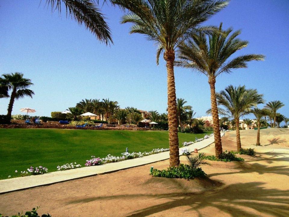 Ausblick vom Strand Richtung Hotelanlage Steigenberger Coraya Beach - Adults only