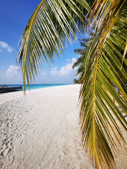 Strand Meeru Maldives Resort Island