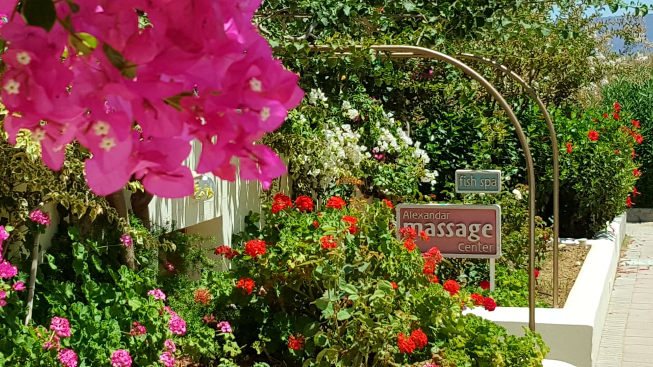 Massage und Fish Spa, sehr zu empfehlen Hydramis Palace Beach Resort