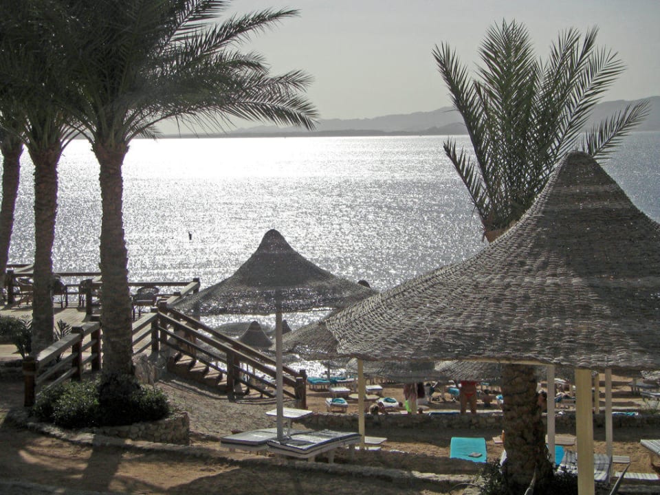 Meerblick Hotel Nubian Village