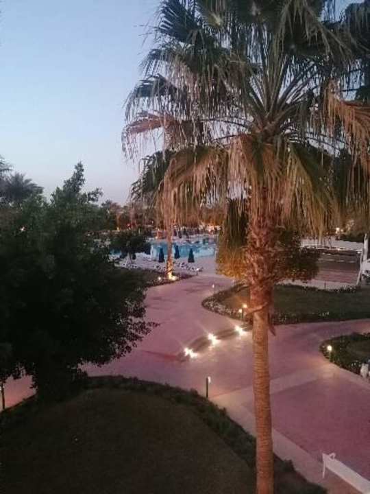 Ausblick Desert Rose