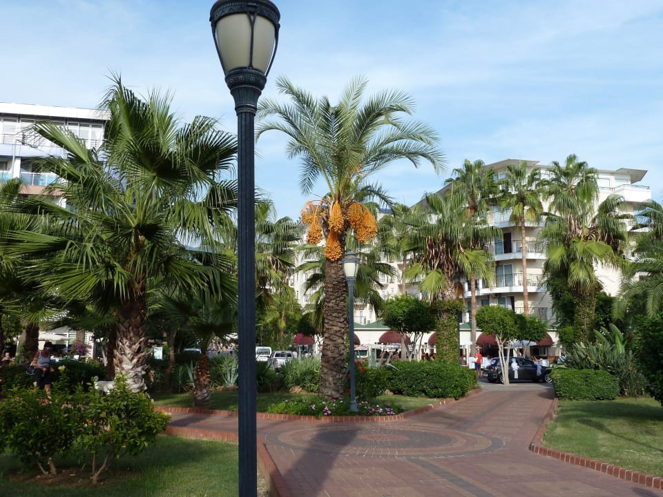 Weg v. Strand z. Hotel Gardenia Hotel