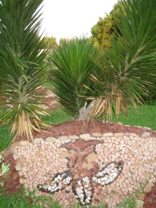 Gartenpflanzen TUI MAGIC LIFE Penelope Beach