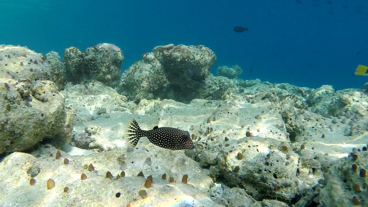 Sport & Freizeit Fihalhohi Maldives