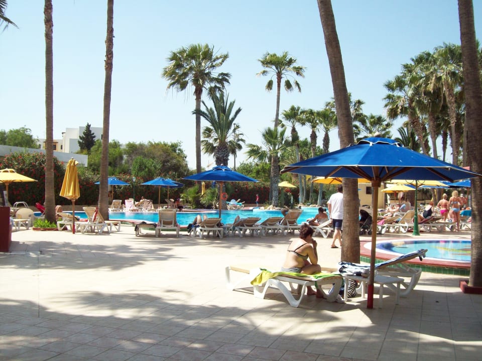 Sehr schöner Pool Hotel Nesrine