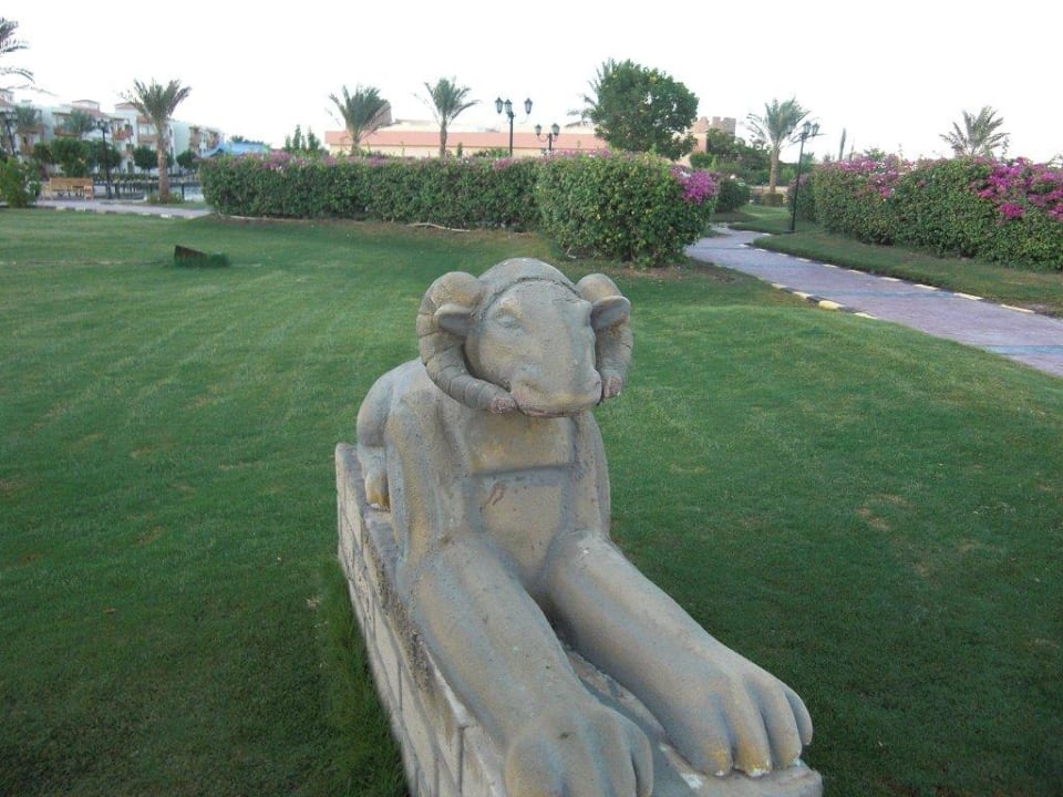 Hotel Pickalbatros Dana Beach Resort - Hurghada