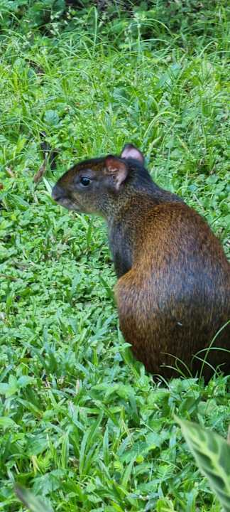 Gartenanlage Relax Natural Village