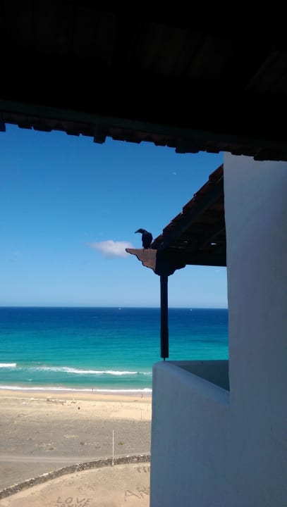  Besucher vor dem Zimmer Club Jandia Princess