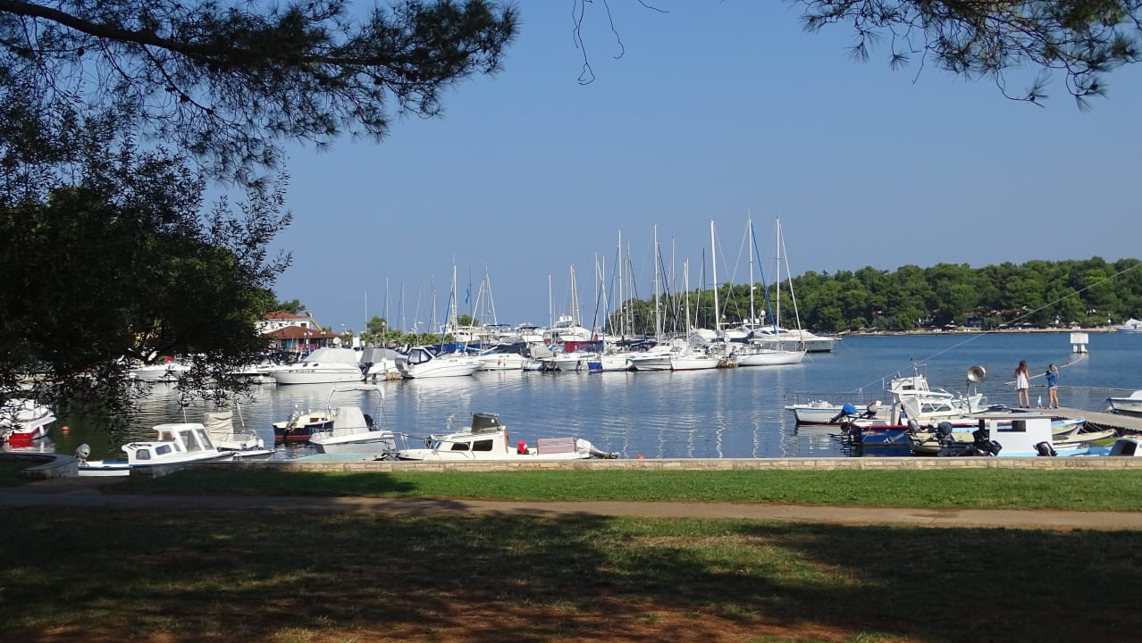In der Nähe des Hotels Hotel Parentium Plava Laguna