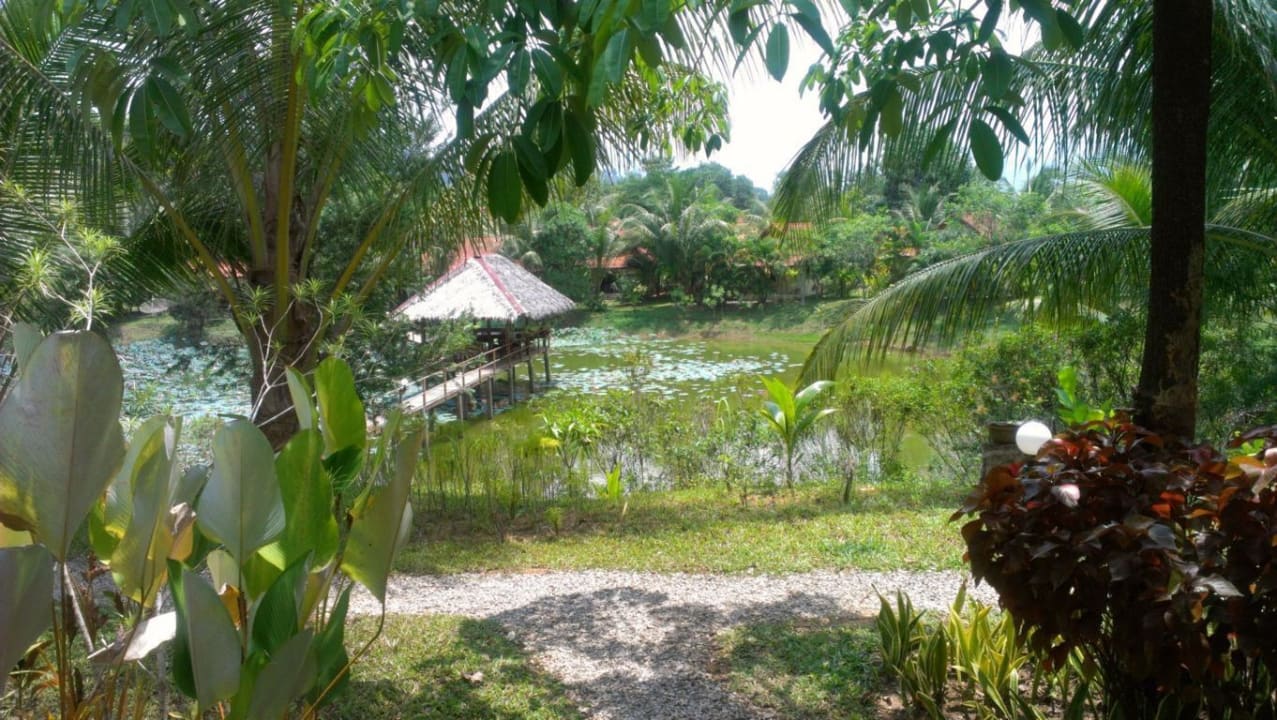Blick durch die Anlage von der rechten Seite Hotel Khaolak Riverside Bungalow
