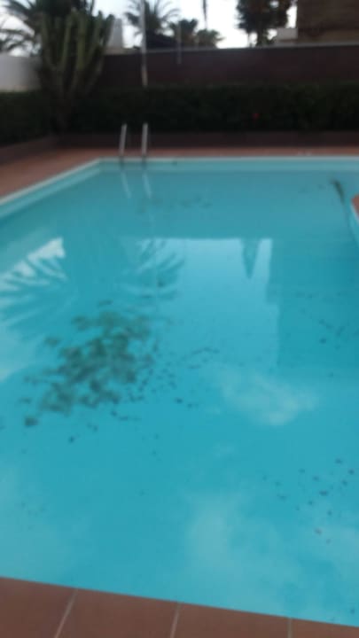 Das dunkle ist Sand Apartamentos Horizonte