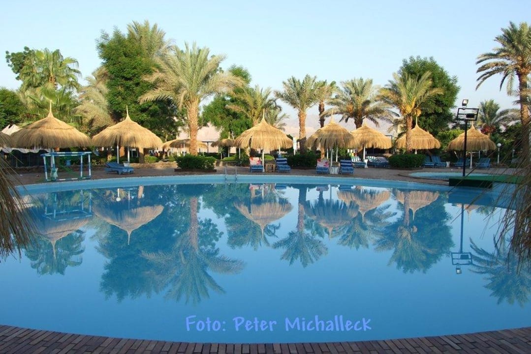 Pool am Hotel Albatros Sharm Resort