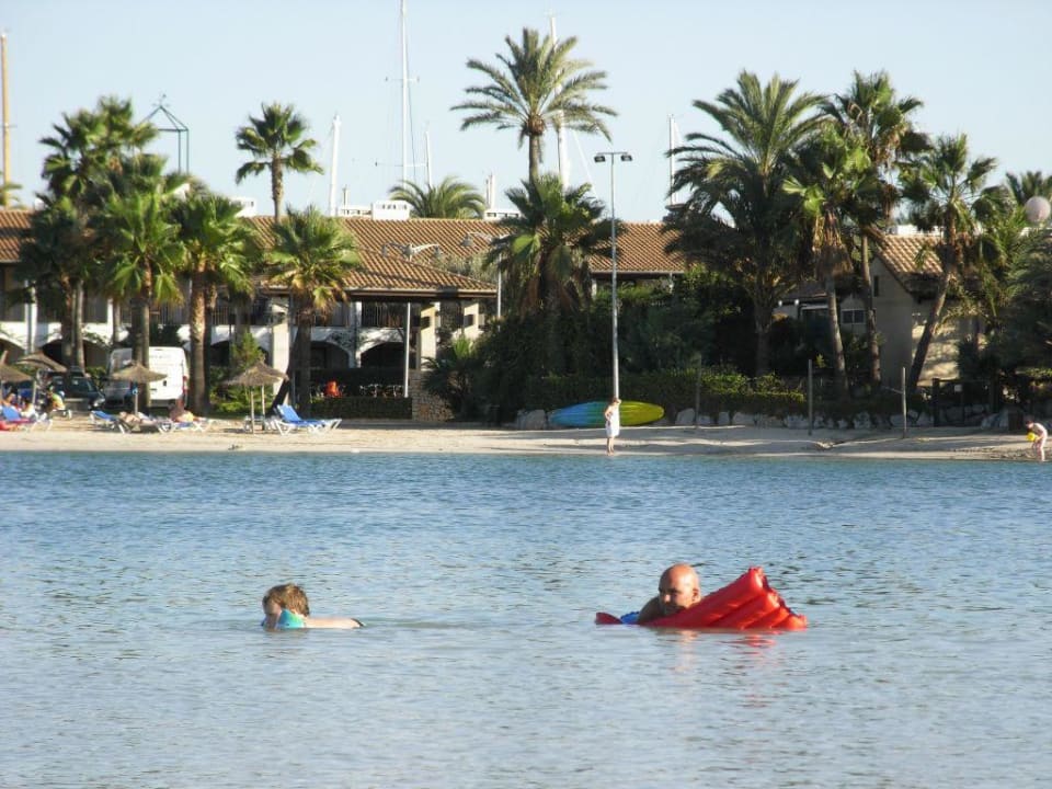 Strand mit traumhafter Aussicht in die Bucht Alcudia Garden Aparthotel