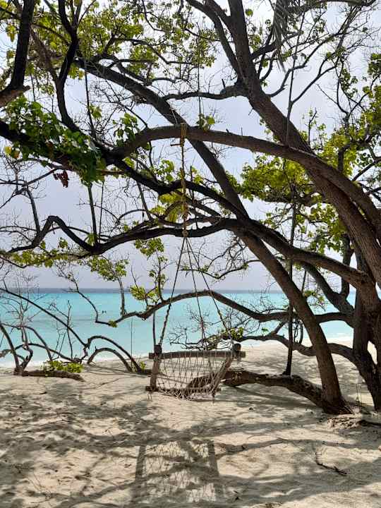 Ausblick Summer Island Maldives
