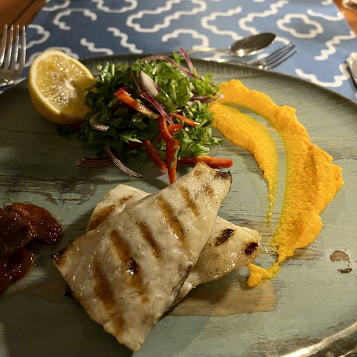 Gastro TUI BLUE Barut Andız - All Inclusive - Adults Only