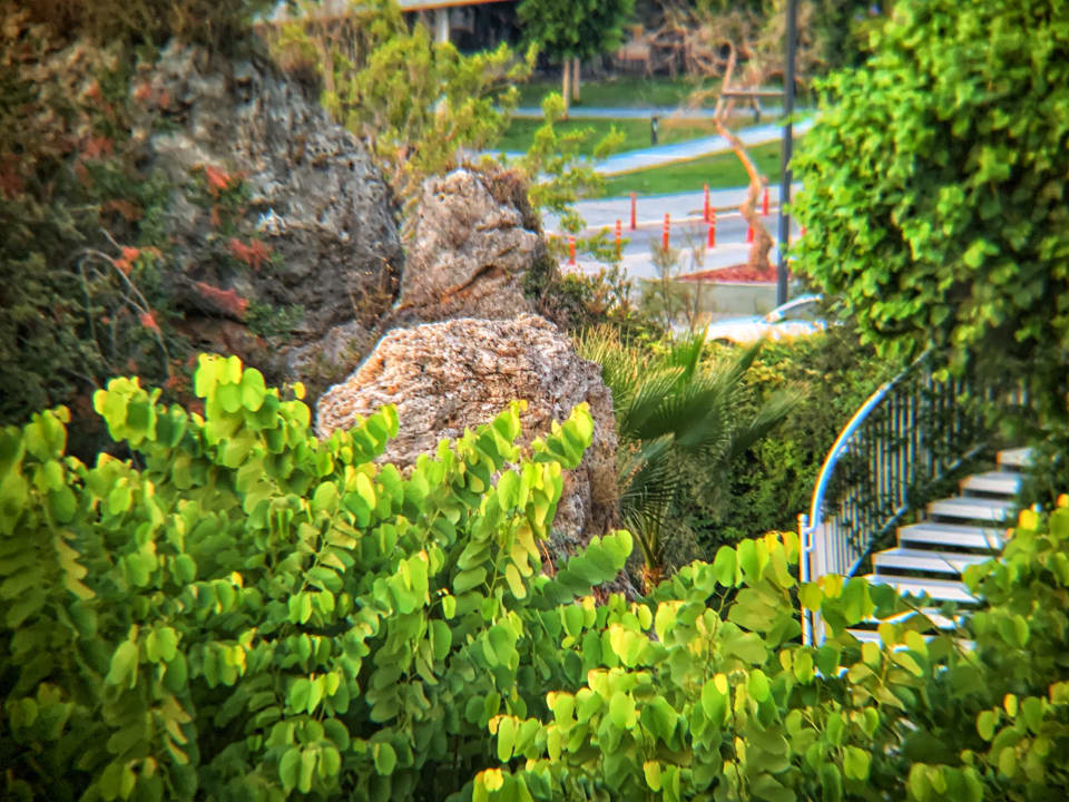 Gartenanlage Hotel SU & Aqualand