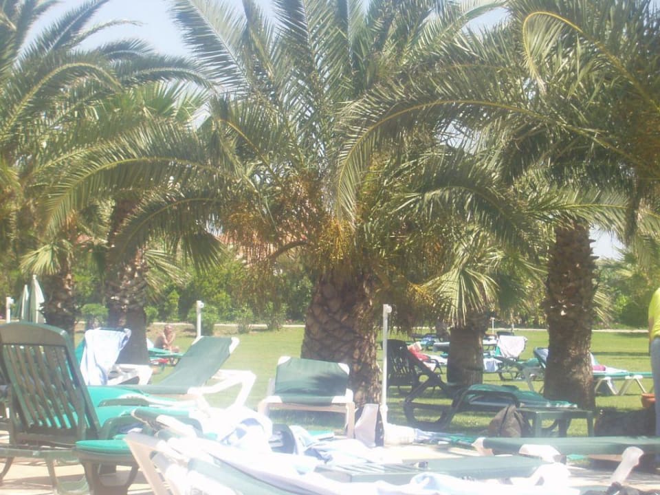 Sonnenbad Megasaray Club Belek