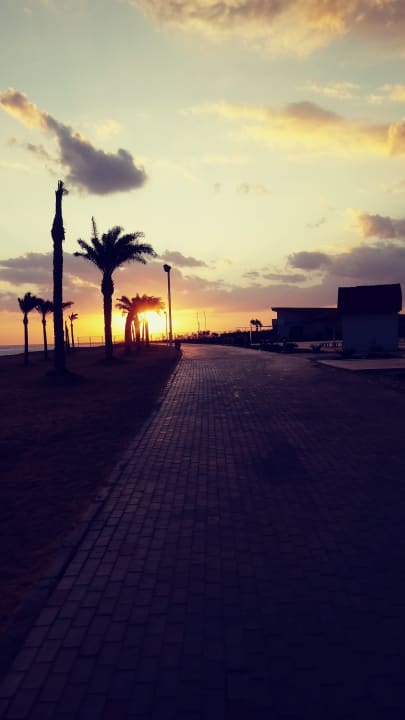 Gartenanlage Pickalbatros Sea World Resort - Marsa Alam