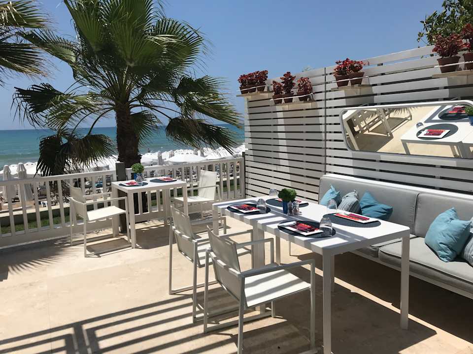 Restaurant Roka Acanthus Cennet Barut Collection