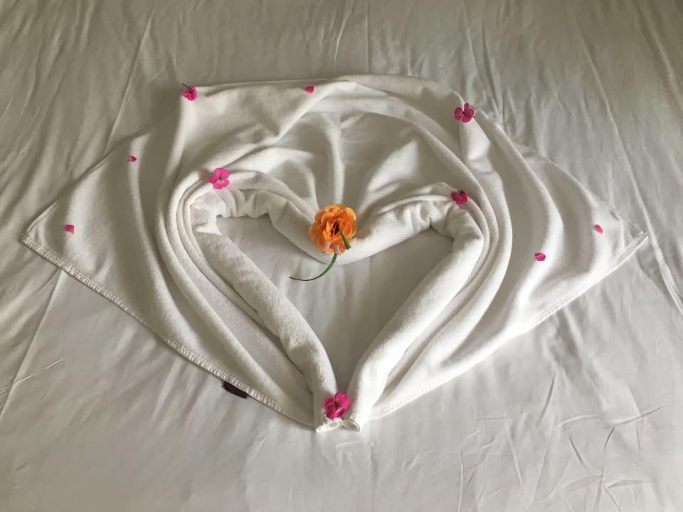 Zimmer Well Palace Side